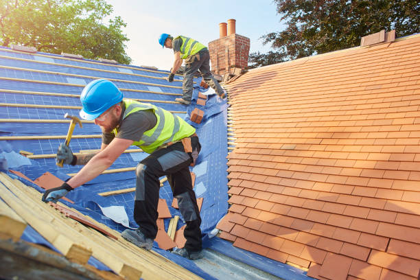 Best Sheet Metal Roofing  in Graceville, FL
